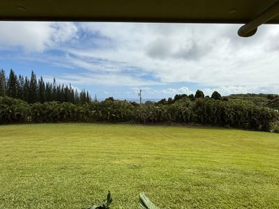 IMG_1711.jpeg