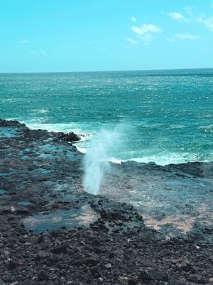 *IMG_2015.jpg