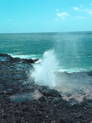 *IMG_2017.jpg
