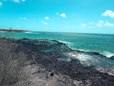 *IMG_2018.jpg