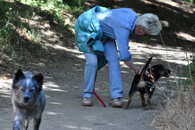 walking with our dogs