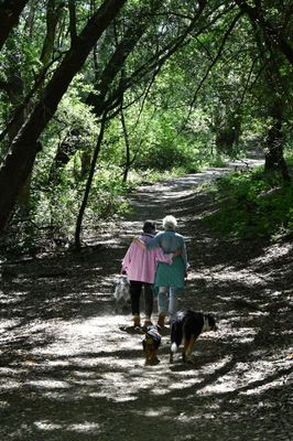 walking_with_our_dogs