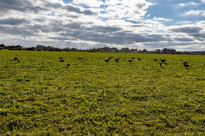052A5747-HDR.jpg