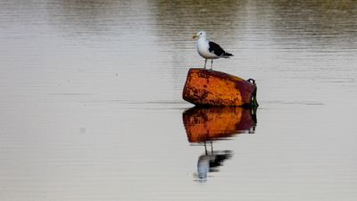 052A2985.jpg