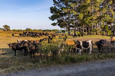 052A3006-HDR.jpg