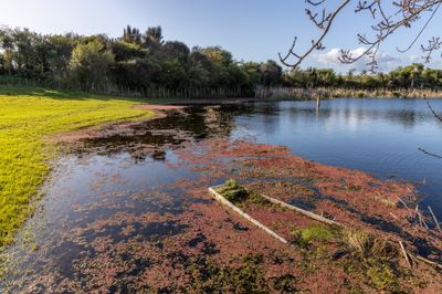 052A1012-HDR.jpg