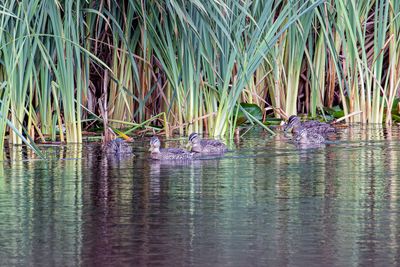 052A5901-Enhanced-NR.jpg