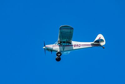 D15B6236.jpg