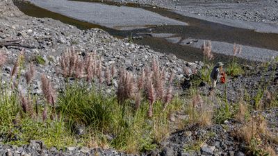 g13/73/826273/3/175289491.52a2276e.JPEG