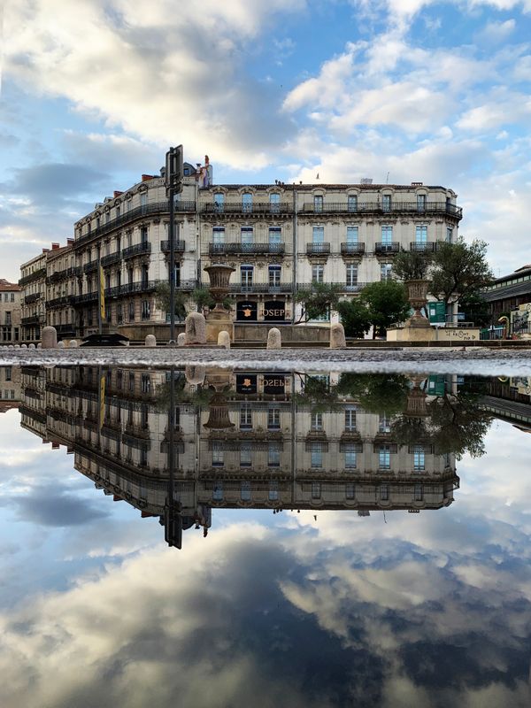 MontpellierReflections4354