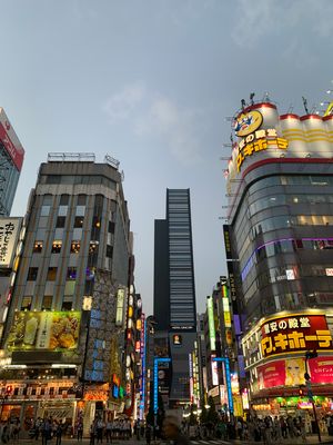 g13/74/1005374/3/175659067.4156c046.JPEG