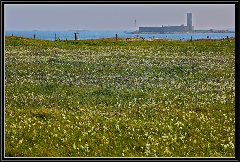 Springtime in the Archipelago.