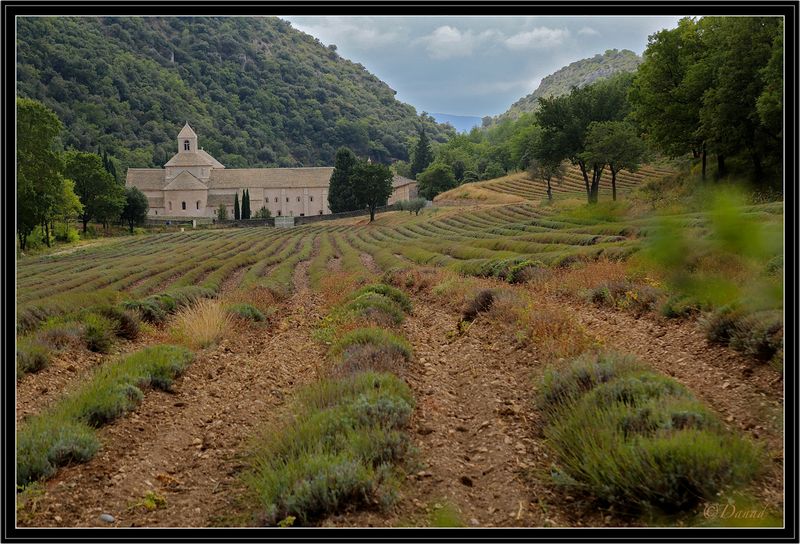 Abbaye Notre Dame de Snanque.