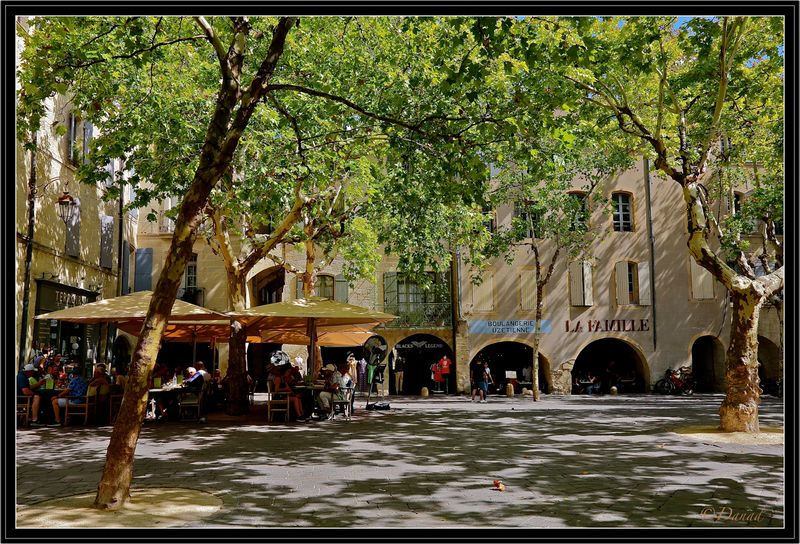 In the Shade of the Plane Trees.