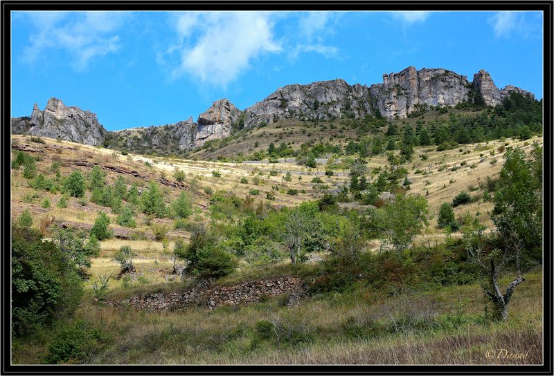 Le Causse Mjean.