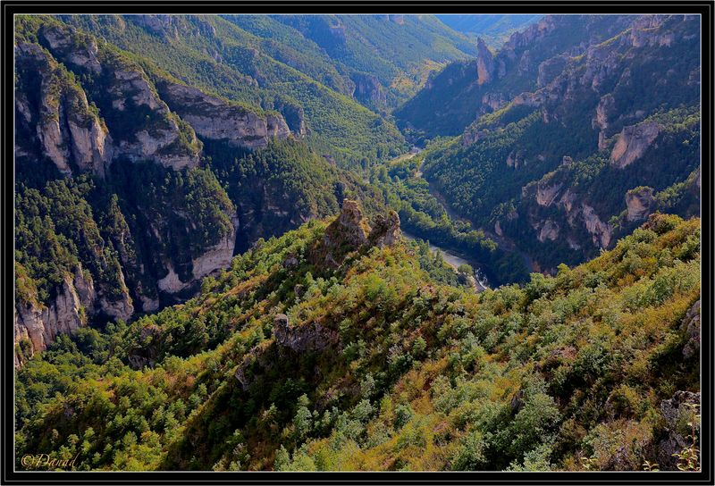 Gorges du Tarn.