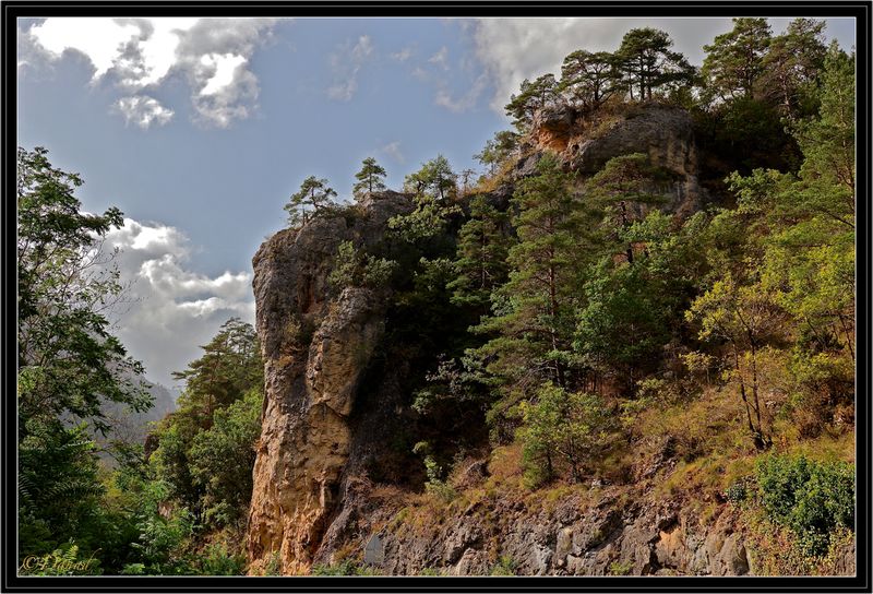 In the Gorges.