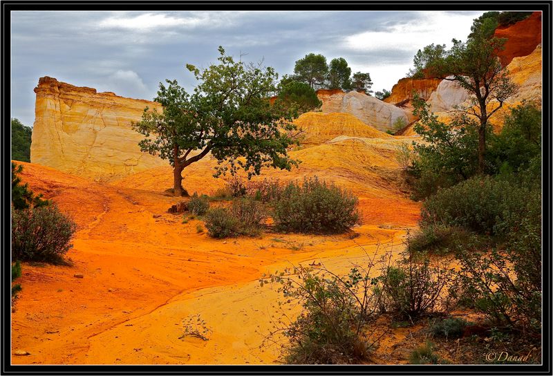 An Orange World.