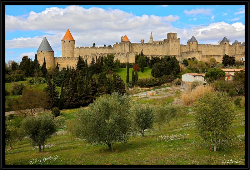 Springtime in  Carcassonne.