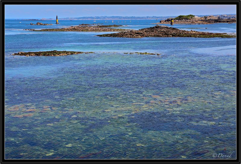 Liquid Blues.