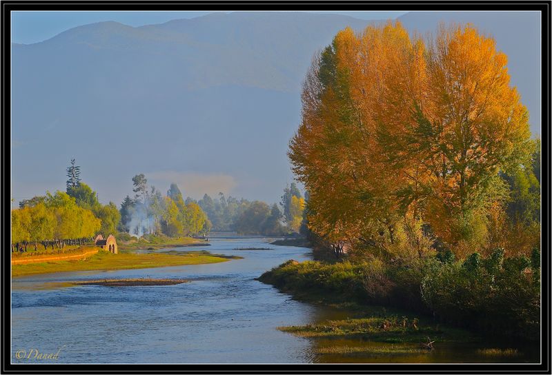 Automne sur les rives de la Heihui.