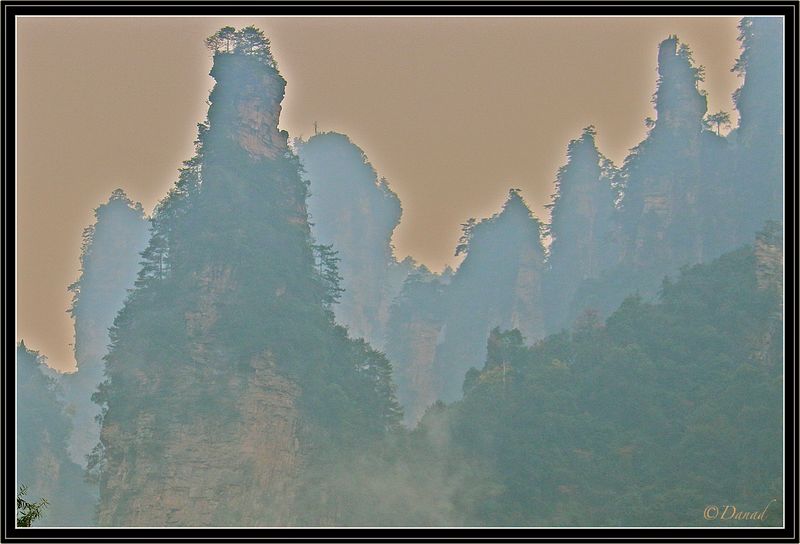 Misty Morning.