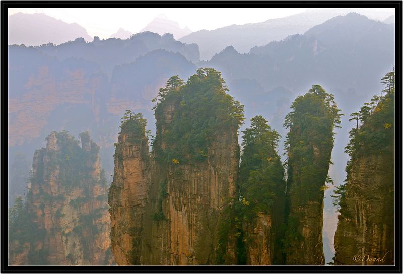 A Setting for Avatar.