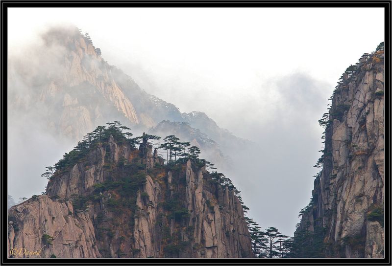 Ascending Fog.
