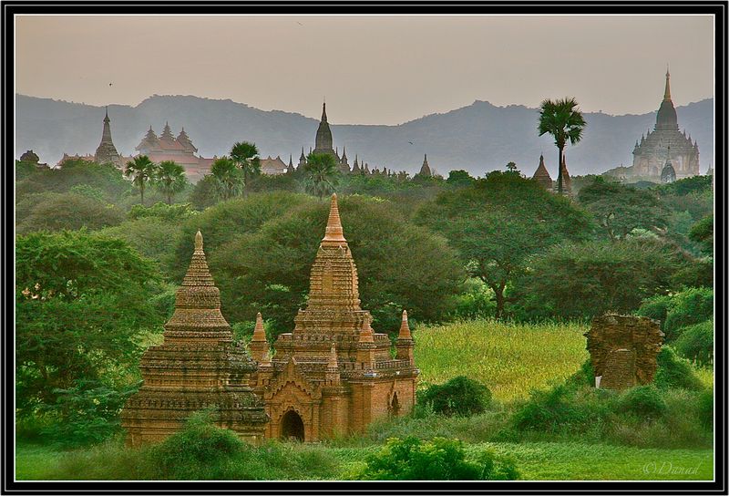 Temples in the Fields.