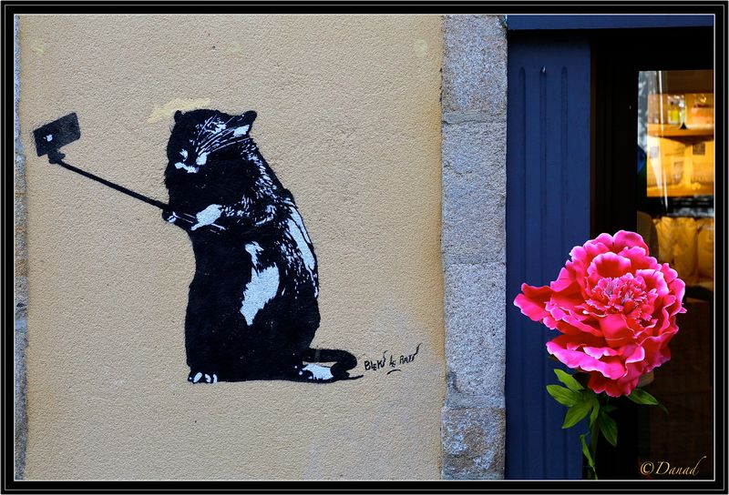 Rat Selfie with a Flower.