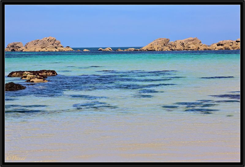Rocks or Animals ?