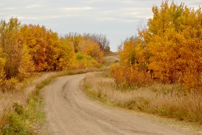 fall_colors