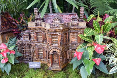 BronxBotanical67.jpg