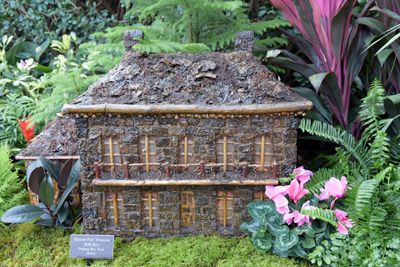 BronxBotanical68.jpg