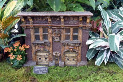 BronxBotanical69.jpg