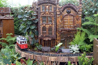 BronxBotanical72.jpg