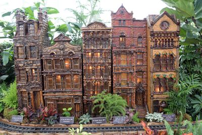 BronxBotanical79.jpg