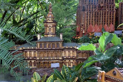 BronxBotanical169.jpg