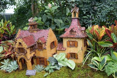 BronxBotanical123.jpg