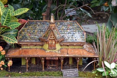 BronxBotanical126.jpg