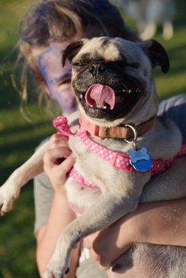 PetMasquerade26-129.jpg