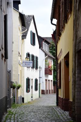 Rudesheim21.jpg