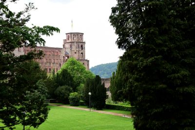 Heidelberg663.jpg