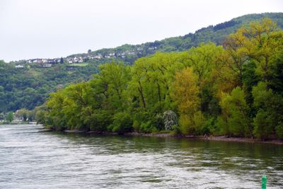 RhineRiverCruise297.jpg