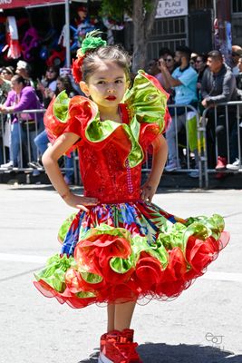 DSC_0412.jpg