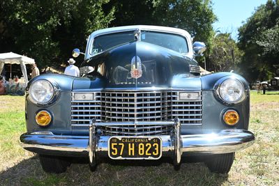 DSC_7465-5.jpg