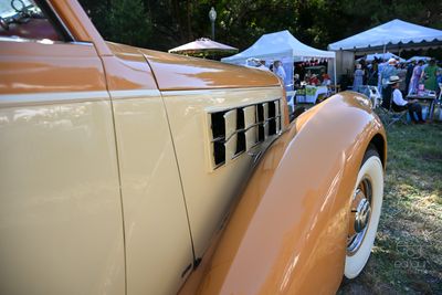 DSC_7983-6.jpg