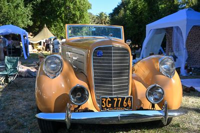 DSC_7985-4.jpg