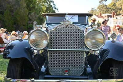 DSC_7996-3.jpg