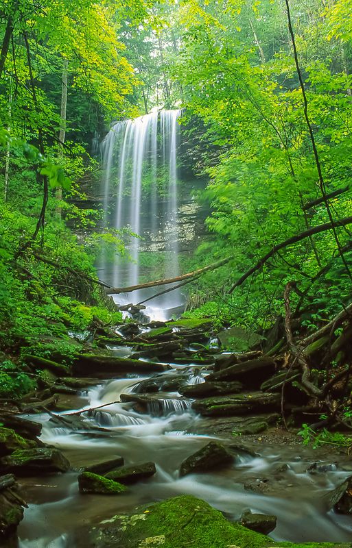 Campbell Falls, left branch #2